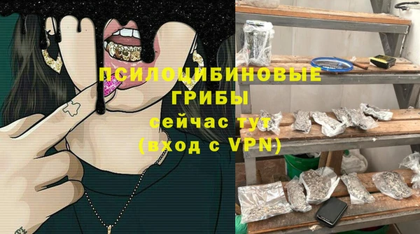 шишки Вязники